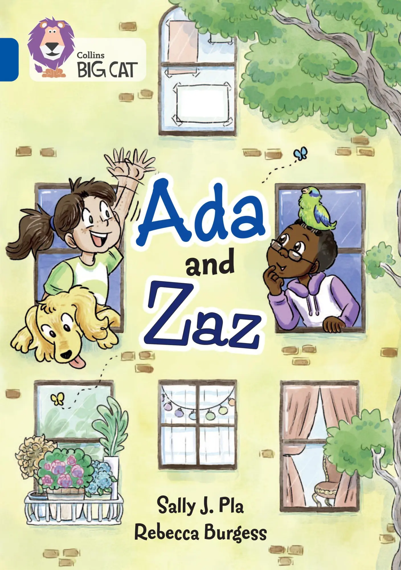 Cover: 9780008605988 | ADA and Zaz | Band 16/Sapphire | Sally J Pla | Taschenbuch | Englisch