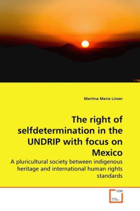 The right of selfdetermination in the UNDRIP with focus on Mexico | A pluricultural society between indigenous heritage and international human rights standards | Martina Maria Linzer | Taschenbuch - Linzer, Martina Maria