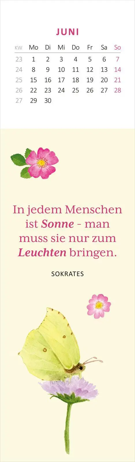 Bild: 4014489136088 | Lesezeichenkalender Naturschätze 2026 | Maria Over | Kalender | 26 S.