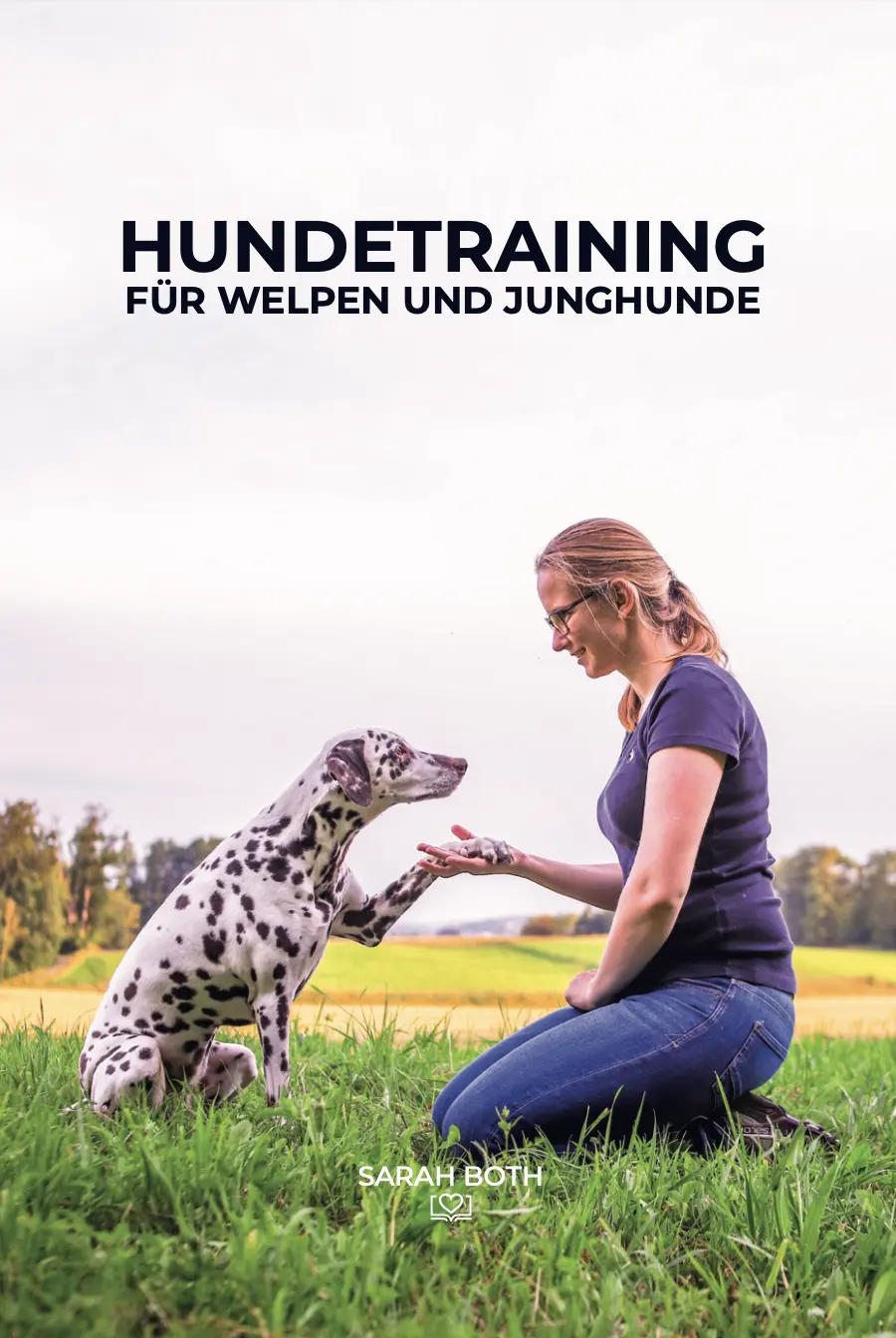 Cover: 9783910256088 | Hundetraining für Welpen und Junghunde | Sarah Both | Taschenbuch