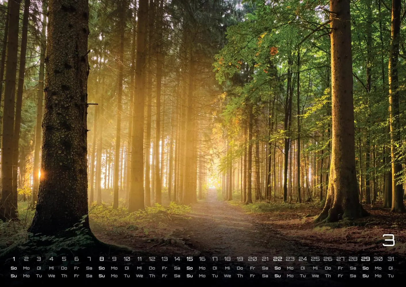 Bild: 9783986736088 | Wald - Erholung für Mensch und Tier - 2026 - Kalender DIN A3 | 15 S.