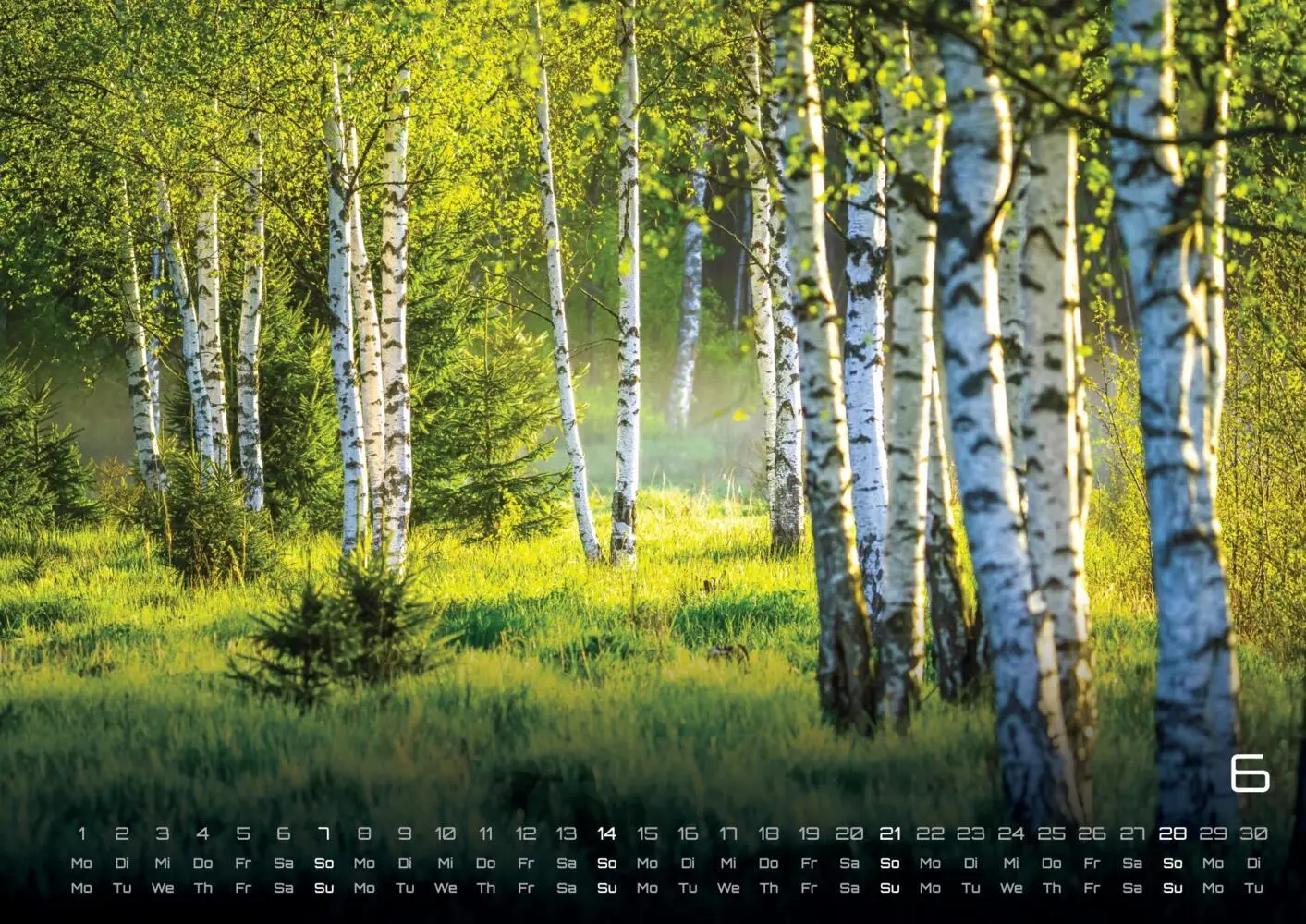 Bild: 9783986736088 | Wald - Erholung für Mensch und Tier - 2026 - Kalender DIN A3 | 15 S.