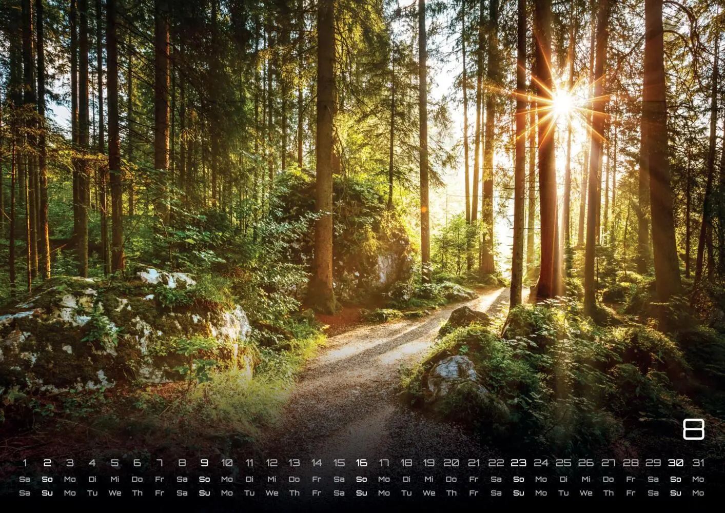 Bild: 9783986736088 | Wald - Erholung für Mensch und Tier - 2026 - Kalender DIN A3 | 15 S.