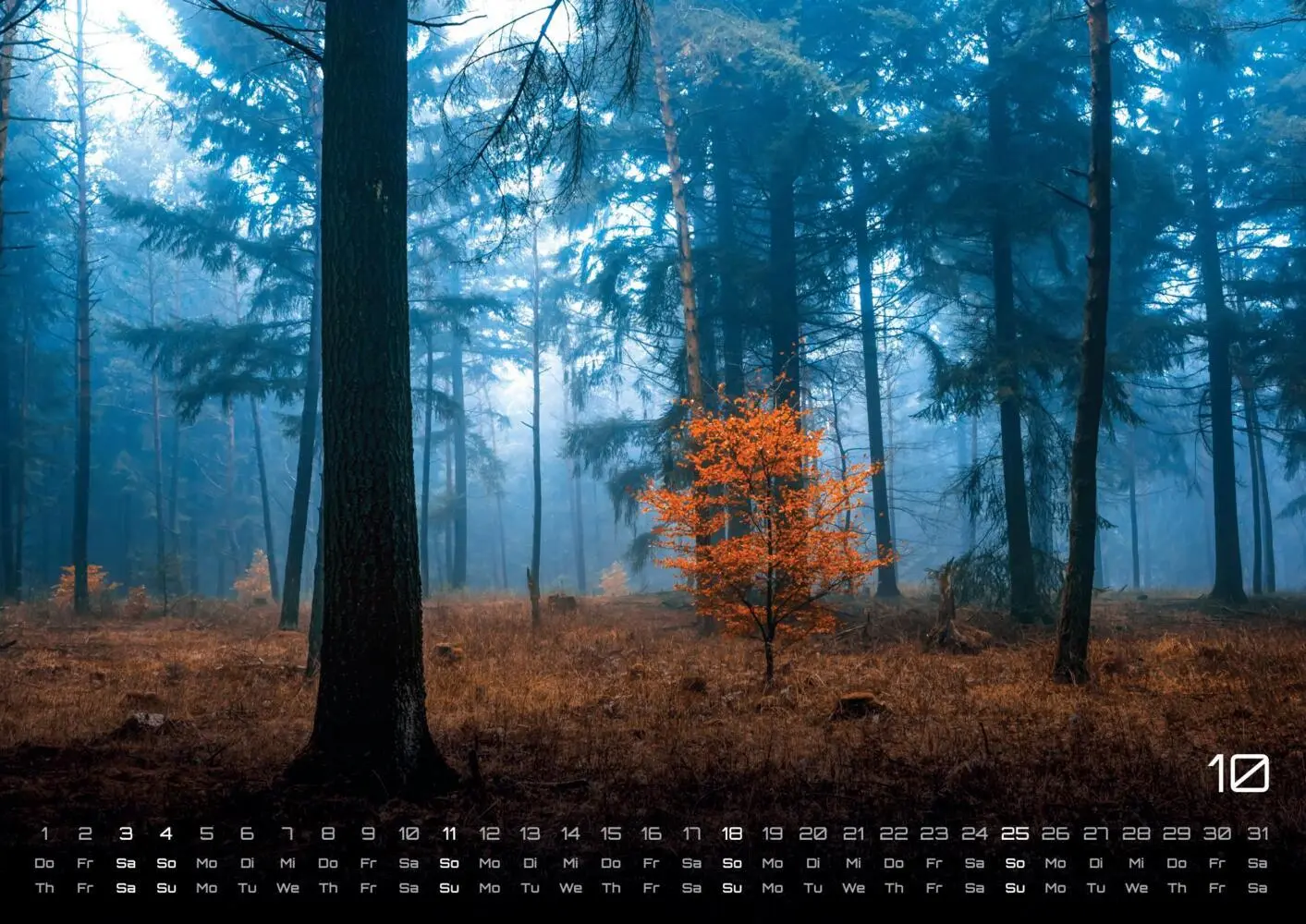 Bild: 9783986736088 | Wald - Erholung für Mensch und Tier - 2026 - Kalender DIN A3 | 15 S.