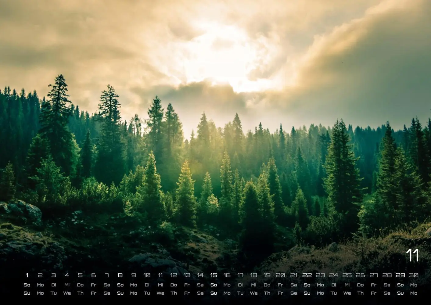 Bild: 9783986736088 | Wald - Erholung für Mensch und Tier - 2026 - Kalender DIN A3 | 15 S.