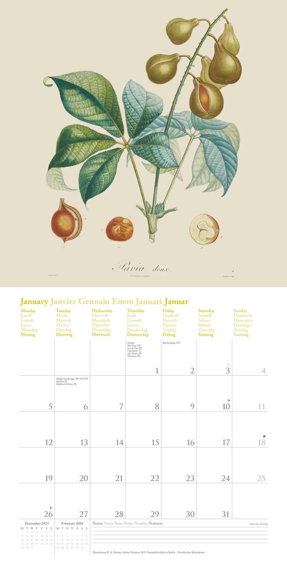 Bild: 4069095006188 | Fruits 2026 - Broschürenkalender - mit historischen Abbildungen...