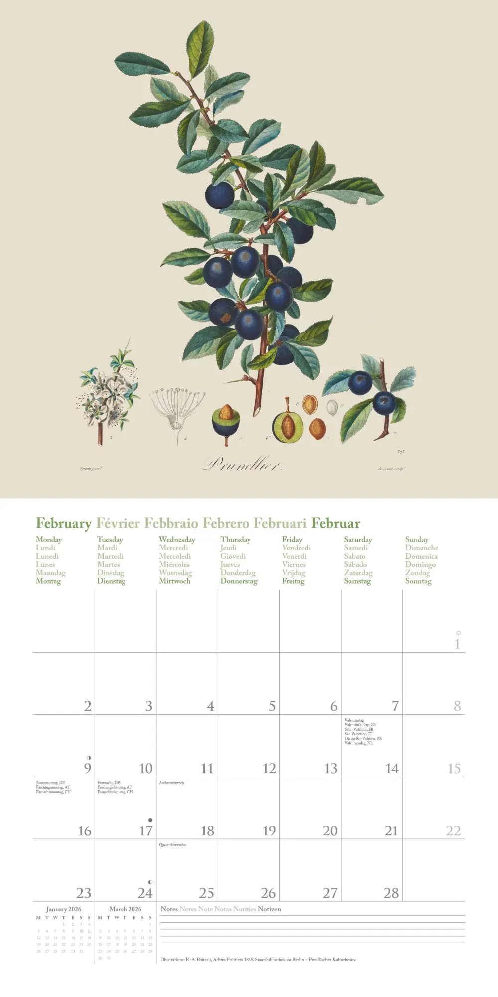 Bild: 4069095006188 | Fruits 2026 - Broschürenkalender - mit historischen Abbildungen...