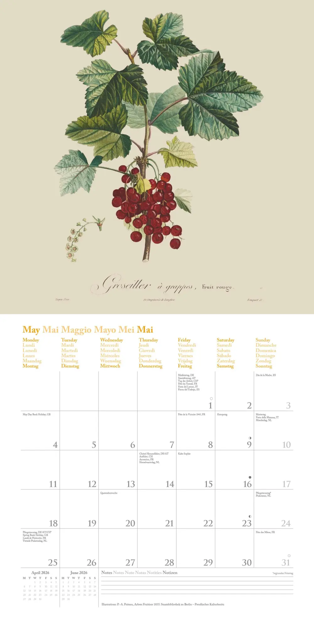 Bild: 4069095006188 | Fruits 2026 - Broschürenkalender - mit historischen Abbildungen...