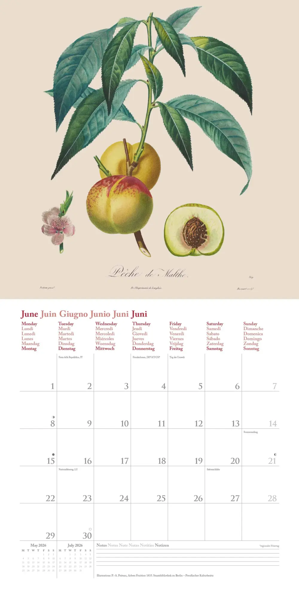 Bild: 4069095006188 | Fruits 2026 - Broschürenkalender - mit historischen Abbildungen...
