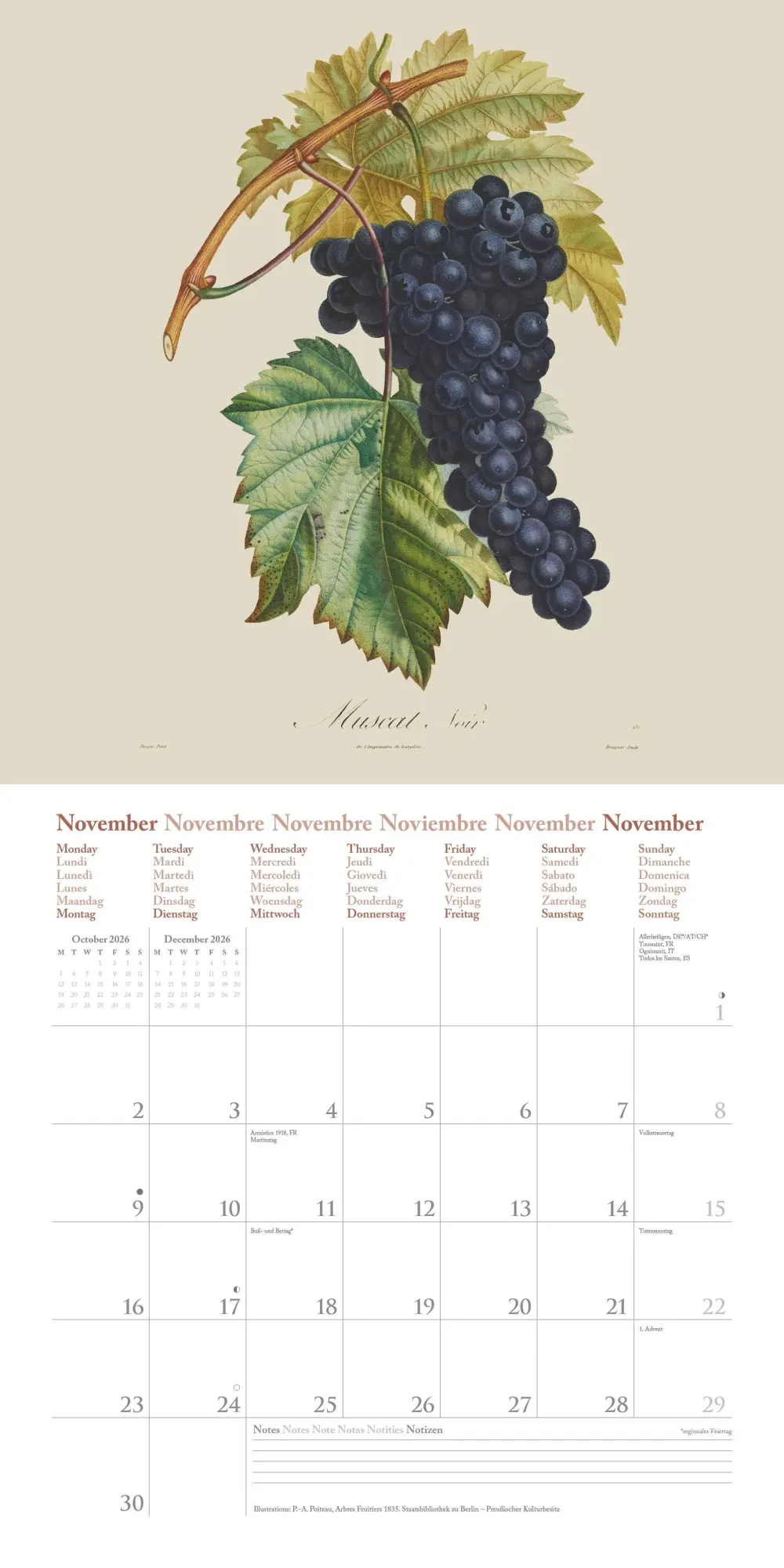 Bild: 4069095006188 | Fruits 2026 - Broschürenkalender - mit historischen Abbildungen...