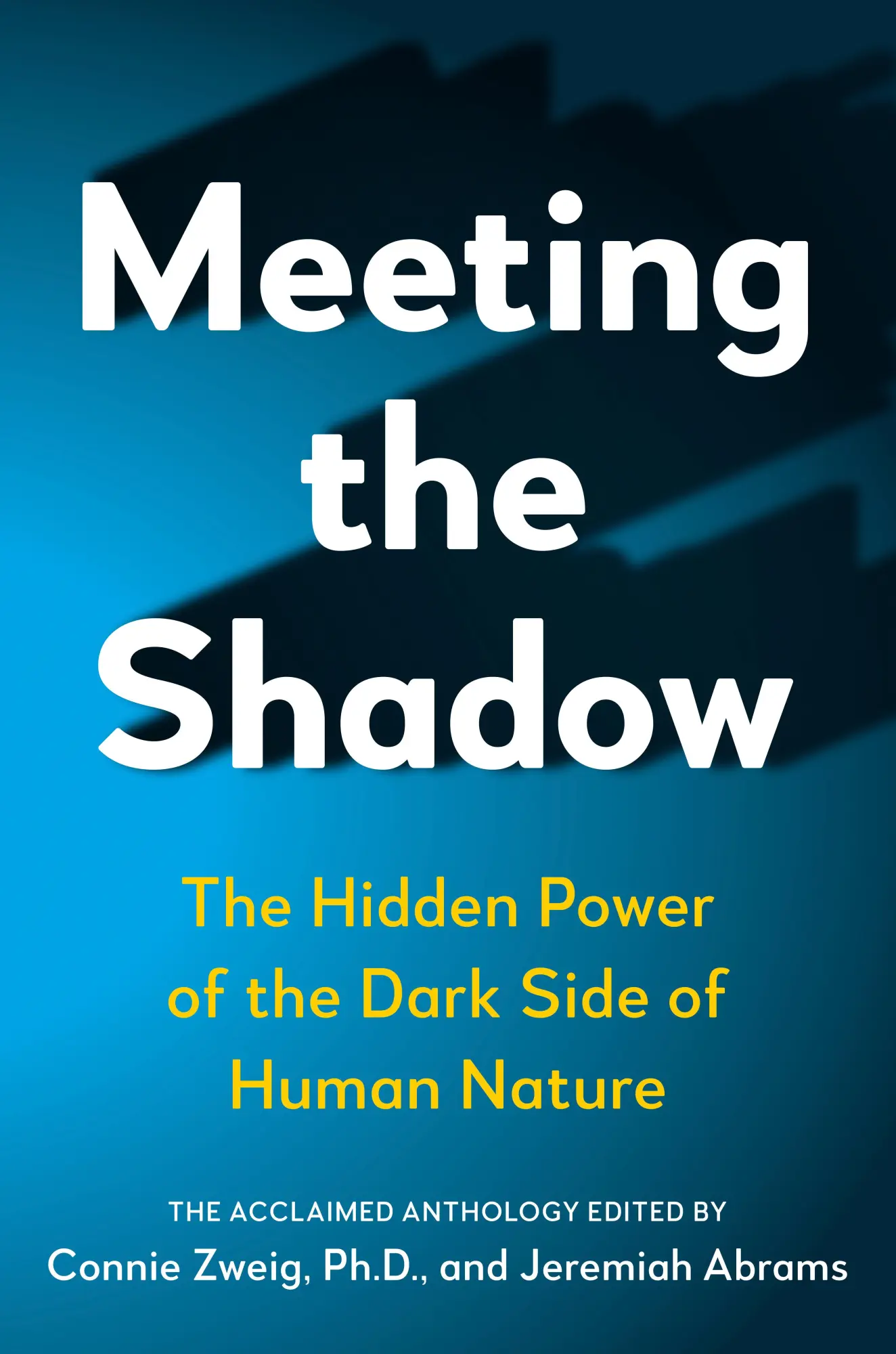Cover: 9780874776188 | Meeting the Shadow | The Hidden Power of the Dark Side of Human Nature