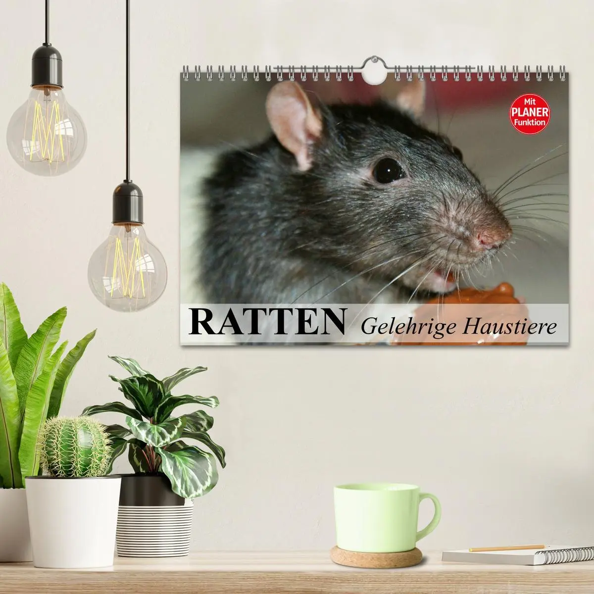 Bild: 9783457996188 | Ratten. Gelehrige Haustiere (Wandkalender 2026 DIN A4 quer),...