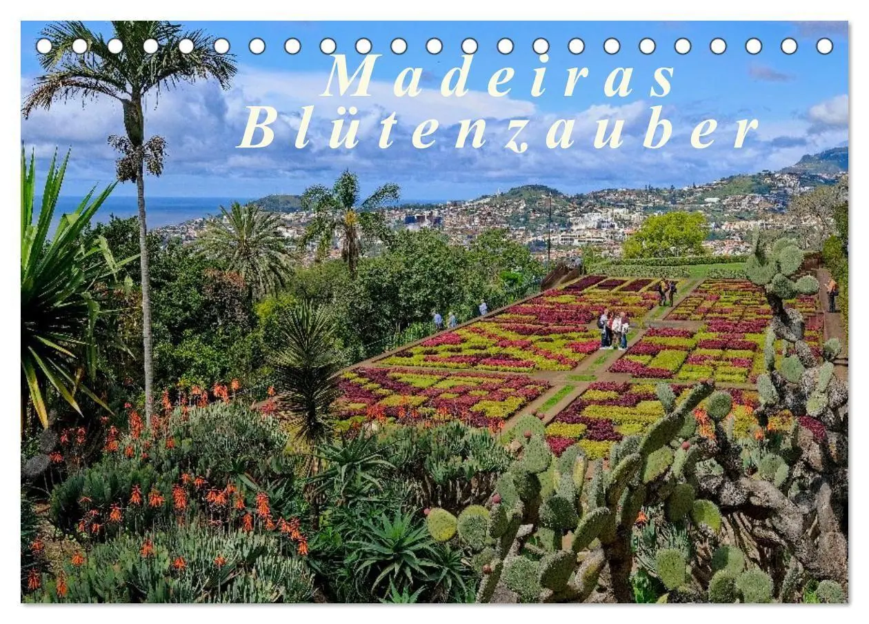 Cover: 9783516086188 | Madeiras Blütenzauber (Tischkalender 2026 DIN A5 quer), CALVENDO...