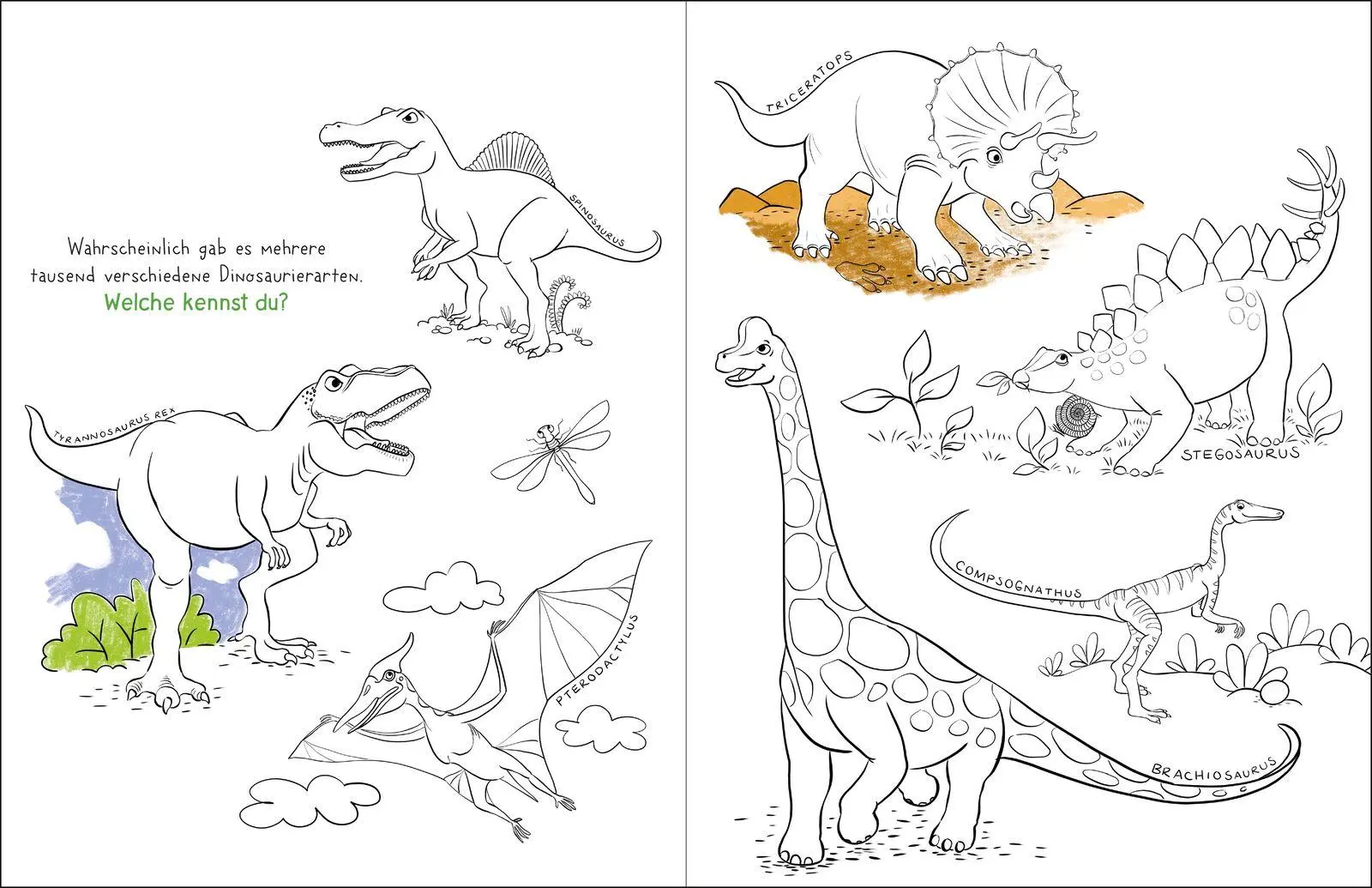 Bild: 9783629016188 | Mal doch mal! - Meine bunte Dinowelt | Pattloch Verlag | Taschenbuch