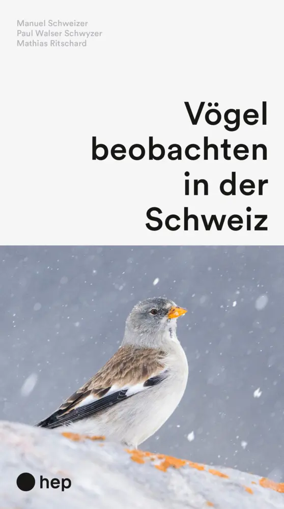Cover: 9783035526288 | Vögel beobachten in der Schweiz | Manuel Schweizer (u. a.) | Buch Cover: 9783035526288 | Vögel beobachten in der Schweiz | Manuel Schweizer (u. a.) | Buch