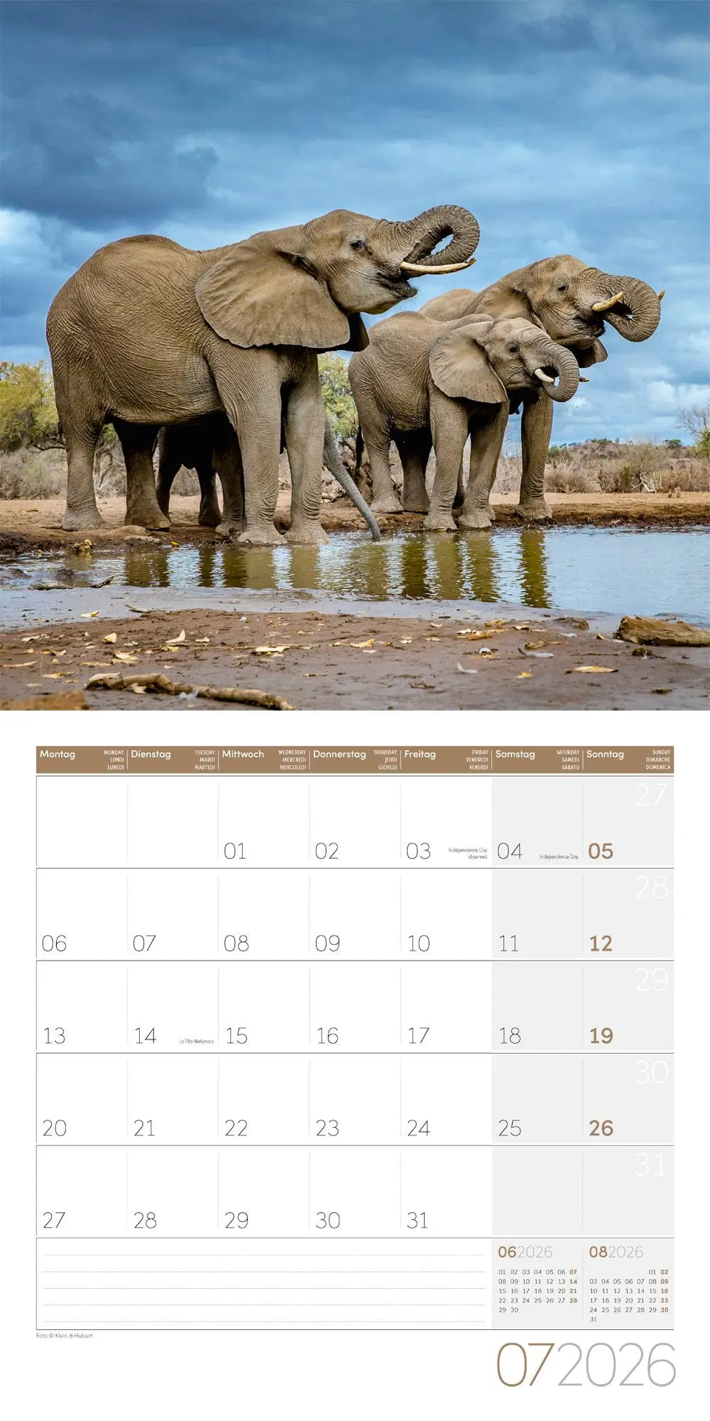 Bild: 9783838446288 | Elefanten Kalender 2026 - 30x30 | Ackermann Kunstverlag GmbH | 28 S.