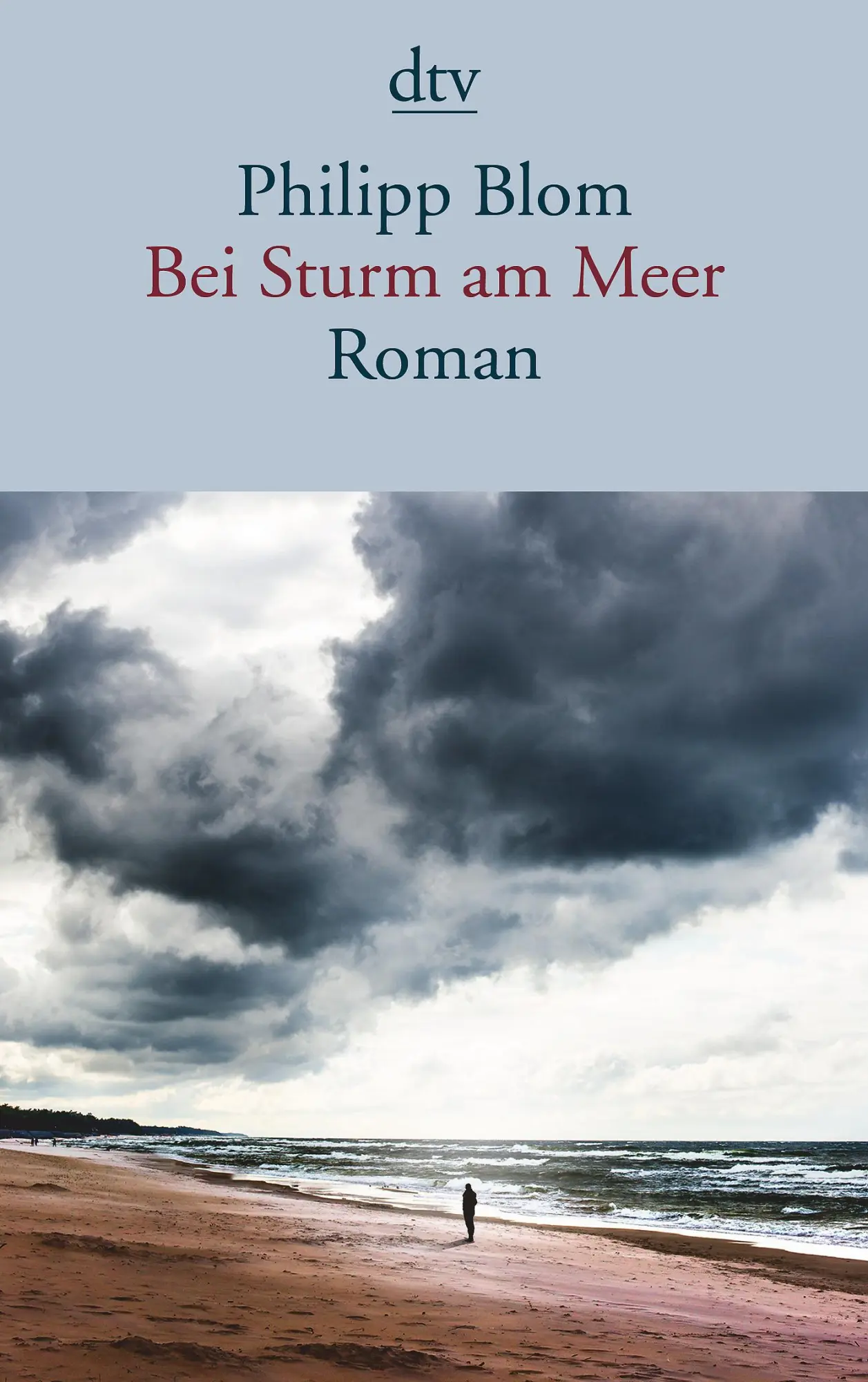 Cover: 9783423146388 | Bei Sturm am Meer | Philipp Blom | Taschenbuch | 224 S. | Deutsch