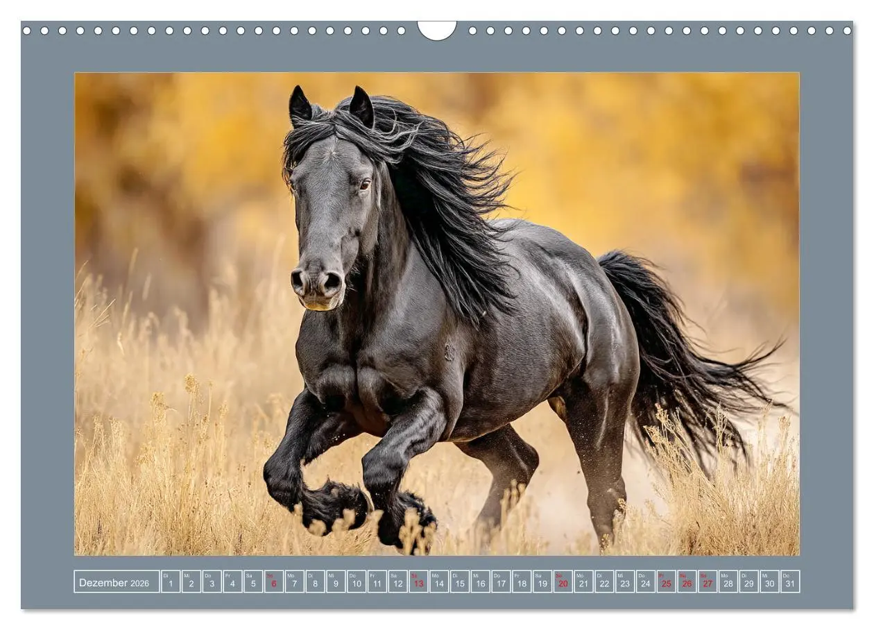 Bild: 9783457416488 | Mustangs. Pferde in ihrer wildesten Schönheit (Wandkalender 2026...