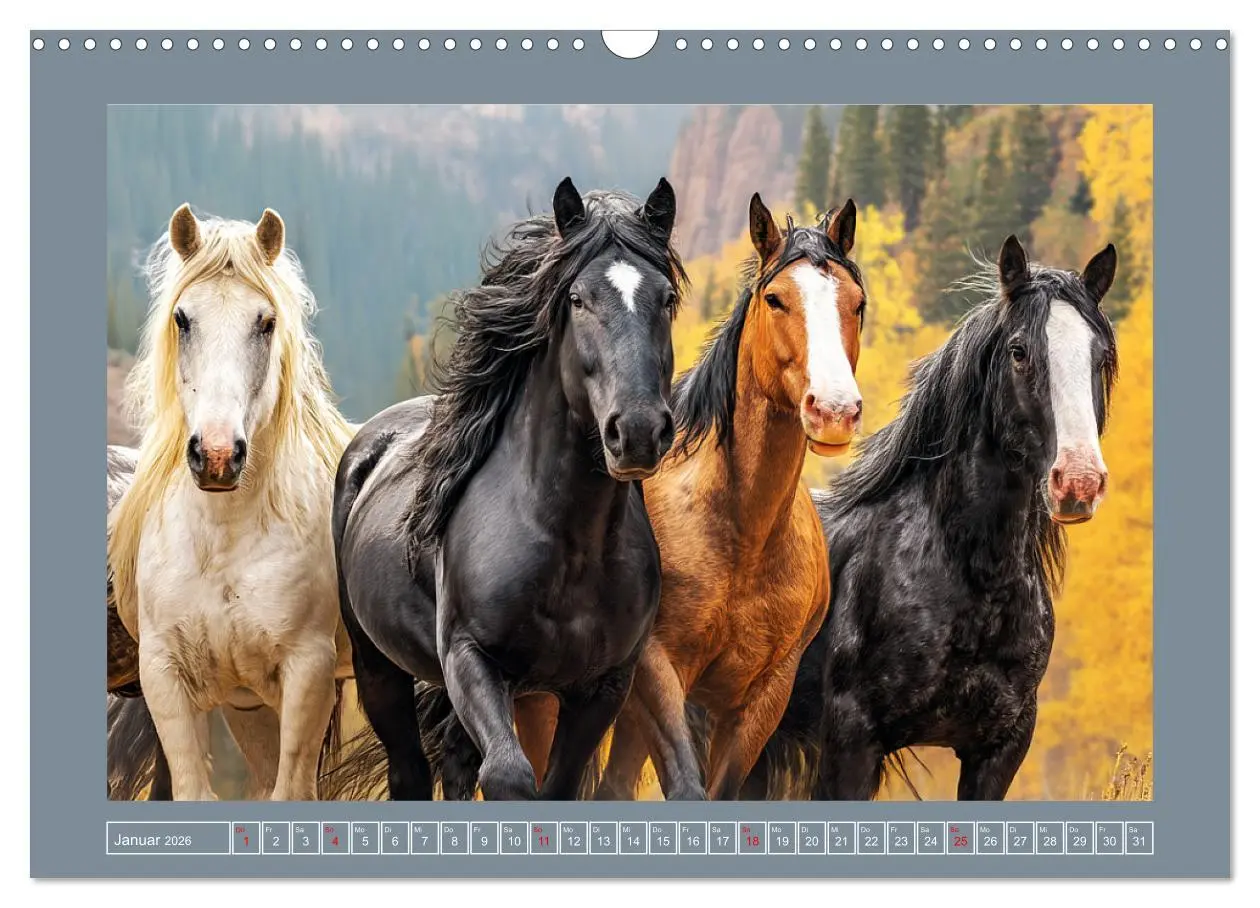 Bild: 9783457416488 | Mustangs. Pferde in ihrer wildesten Schönheit (Wandkalender 2026...