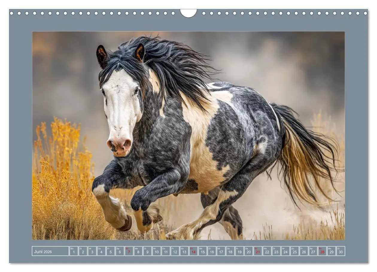 Bild: 9783457416488 | Mustangs. Pferde in ihrer wildesten Schönheit (Wandkalender 2026...