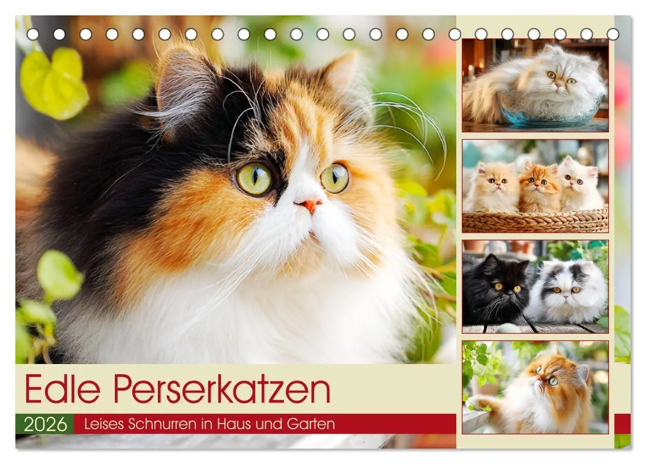 Cover: 9783516746488 | Edle Perserkatzen. Leises Schnurren in Haus und Garten...