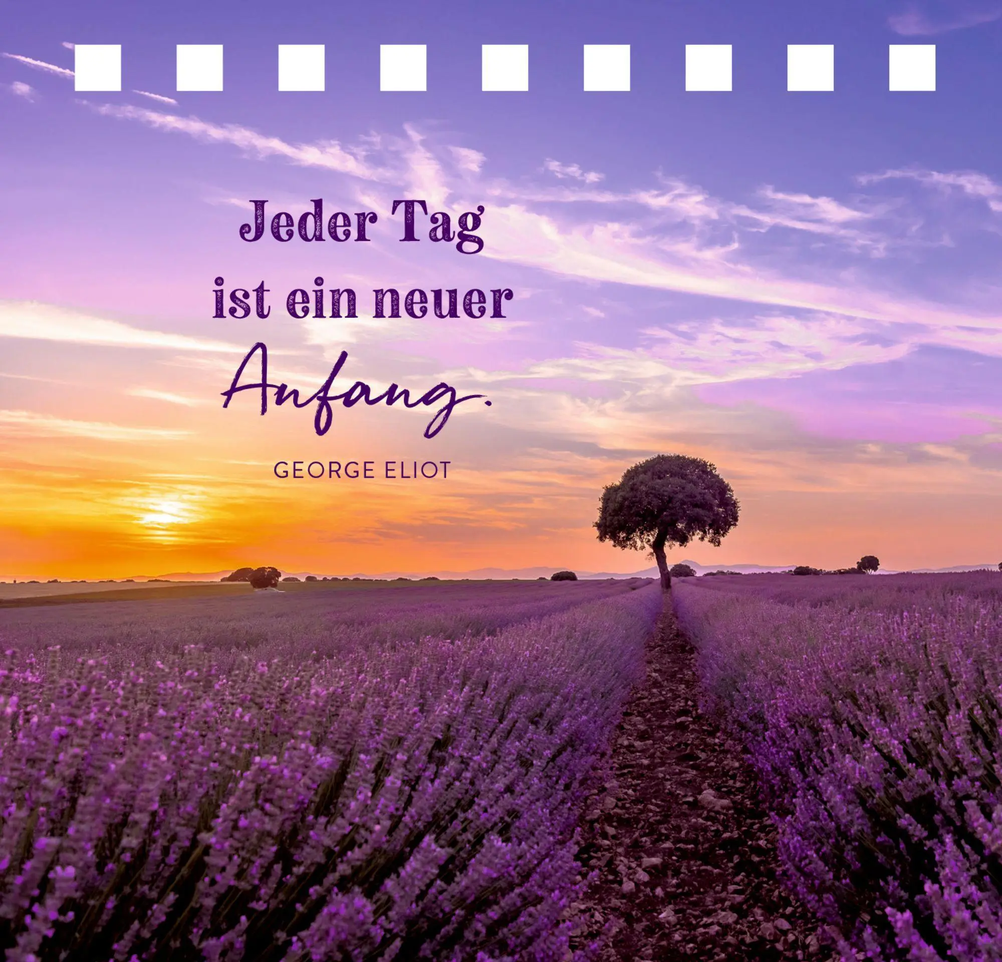 Bild: 9783649646488 | Good Morning Sunshine | Christina Kölsch | Taschenbuch | 144 S. | 2024