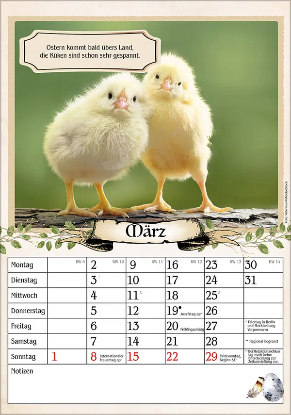 Bild: 9783731886488 | Kalender für Rentner 2026 | Verlag Korsch | Kalender | Spiralbindung
