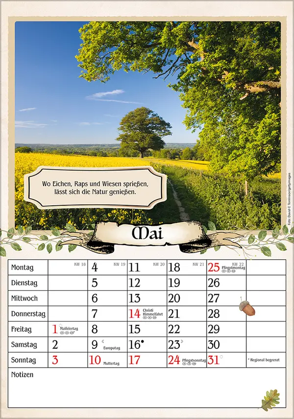 Bild: 9783731886488 | Kalender für Rentner 2026 | Verlag Korsch | Kalender | Spiralbindung