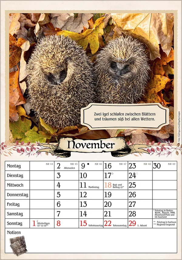 Bild: 9783731886488 | Kalender für Rentner 2026 | Verlag Korsch | Kalender | Spiralbindung
