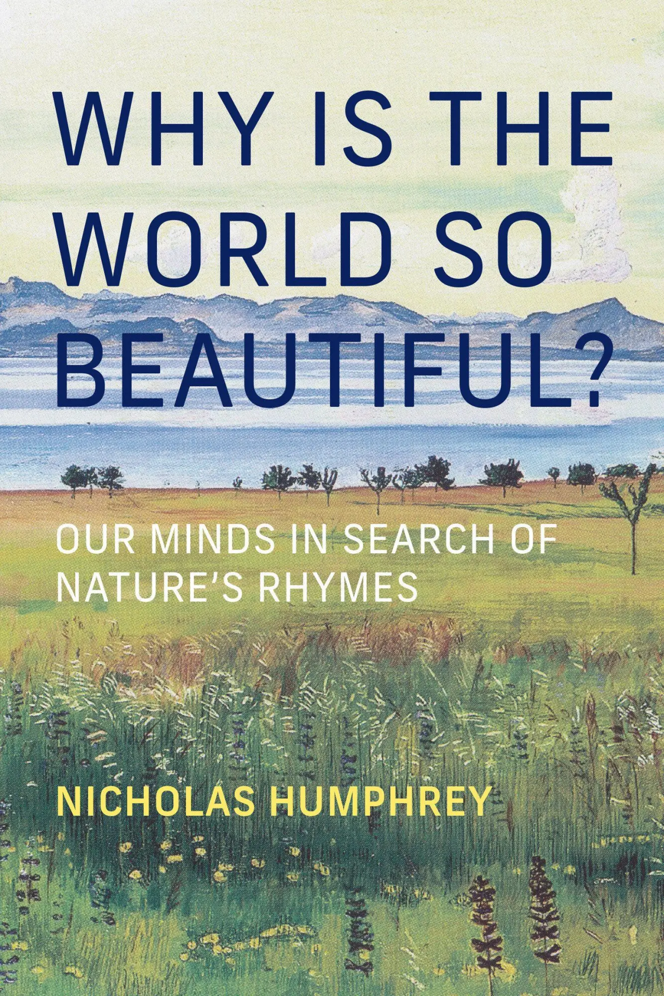 Cover: 9780262056588 | Why Is the World So Beautiful? | Nicholas Humphrey | Buch | Englisch