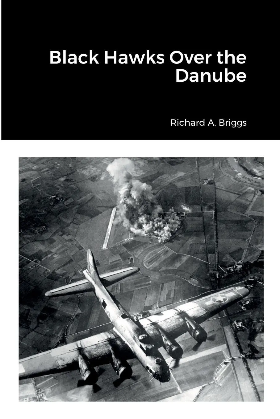 Cover: 9781387556588 | Black Hawks Over the Danube | Richard A. Briggs | Taschenbuch | 2022