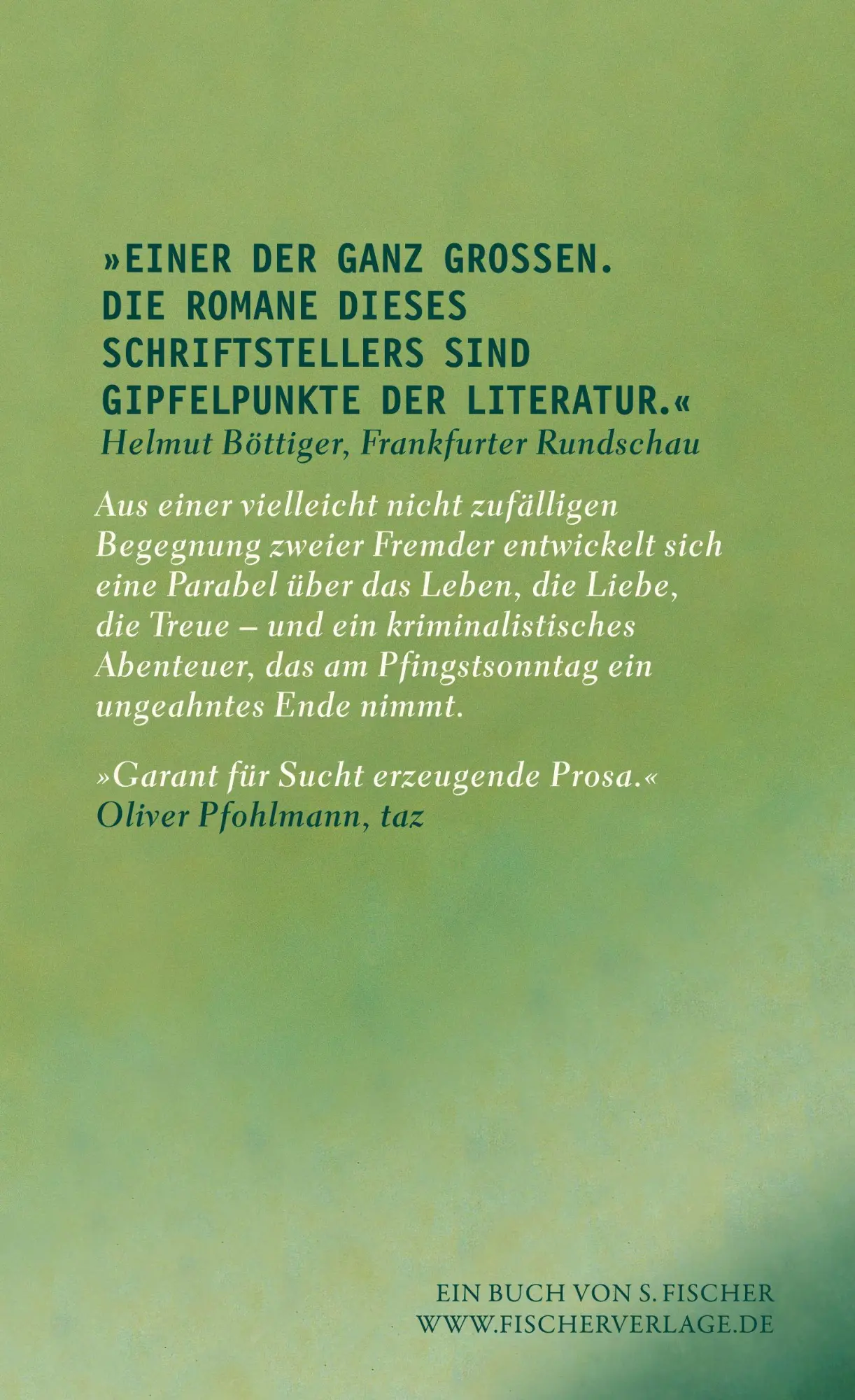 Rückseite: 9783103976588 | Am Hang | Roman Gebundene Geschenkausgabe in bedrucktem Leinen | Buch
