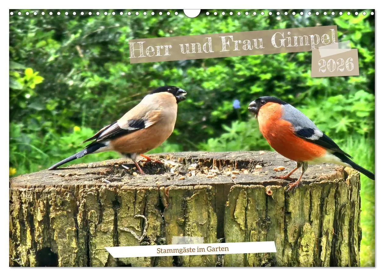Cover: 9783457406588 | Herr und Frau Gimpel - Stammgäste im Garten (Wandkalender 2026 DIN...