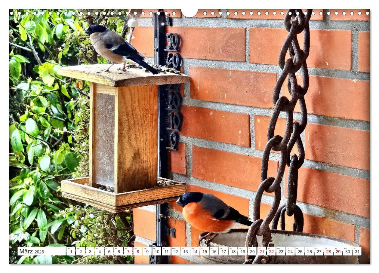 Bild: 9783457406588 | Herr und Frau Gimpel - Stammgäste im Garten (Wandkalender 2026 DIN...