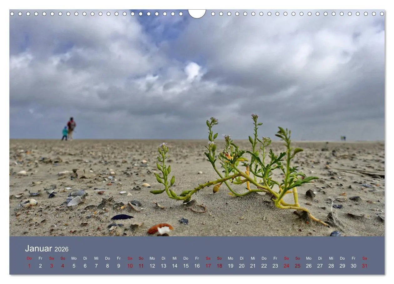 Bild: 9783457886588 | Norderney - Meine Trauminsel (Wandkalender 2026 DIN A3 quer),...