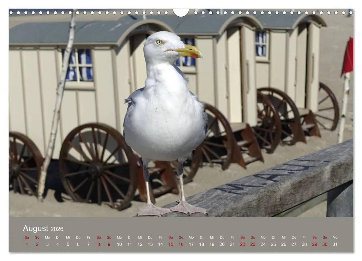 Bild: 9783457886588 | Norderney - Meine Trauminsel (Wandkalender 2026 DIN A3 quer),...
