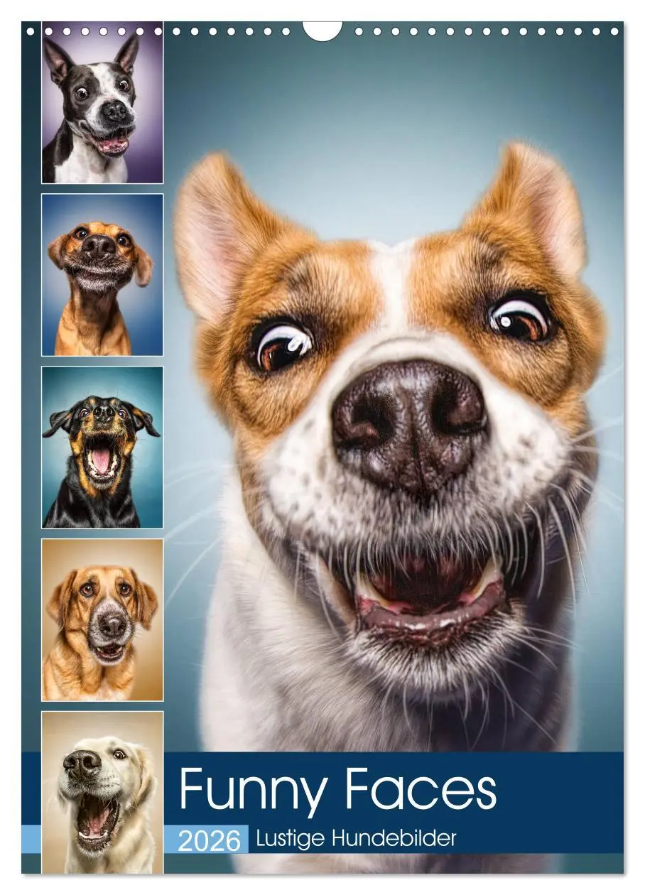 Cover: 9783516416688 | Funny Faces - Lustige Hundebilder (Wandkalender 2026 DIN A3 hoch),...