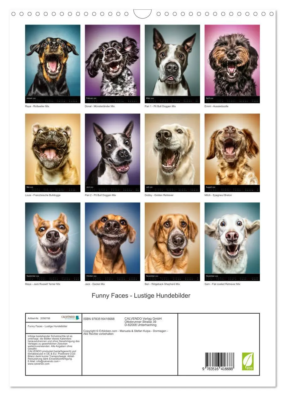 Bild: 9783516416688 | Funny Faces - Lustige Hundebilder (Wandkalender 2026 DIN A3 hoch),...