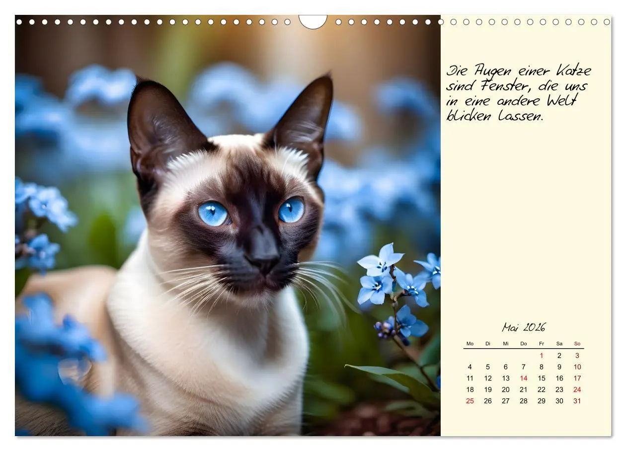 Bild: 9783457316788 | Katzen - Charakter und Schönheit (Wandkalender 2026 DIN A3 quer),...
