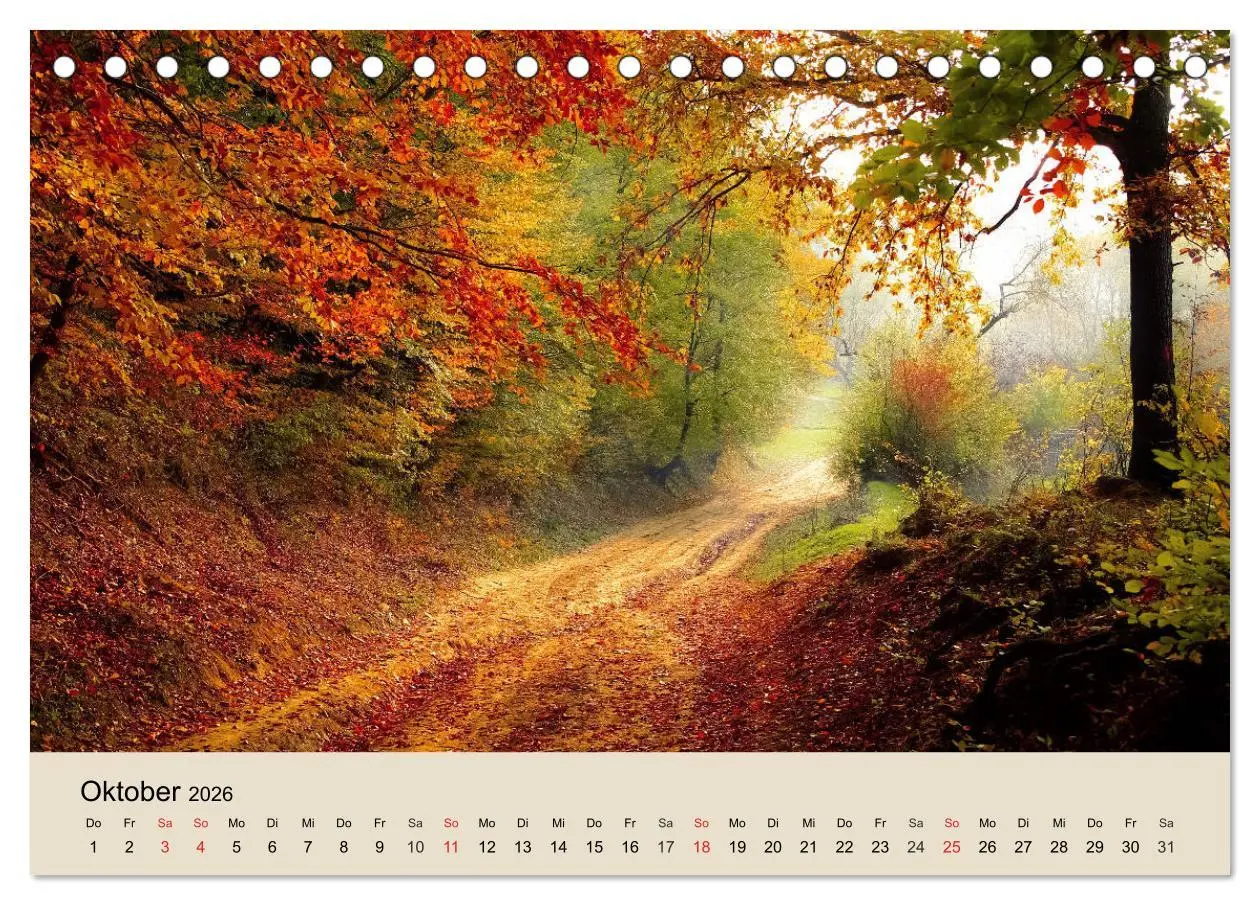 Bild: 9783457936788 | Der Wald. Durch zauberhafte Waldlandschaften (Tischkalender 2026...