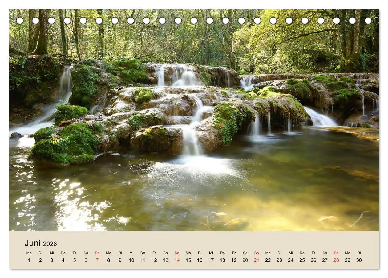 Bild: 9783457936788 | Der Wald. Durch zauberhafte Waldlandschaften (Tischkalender 2026...
