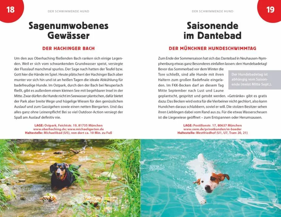 Bild: 9783862466788 | 101 Sachen machen mit Hund - Alles, was ihr in &amp; um München erlebt...
