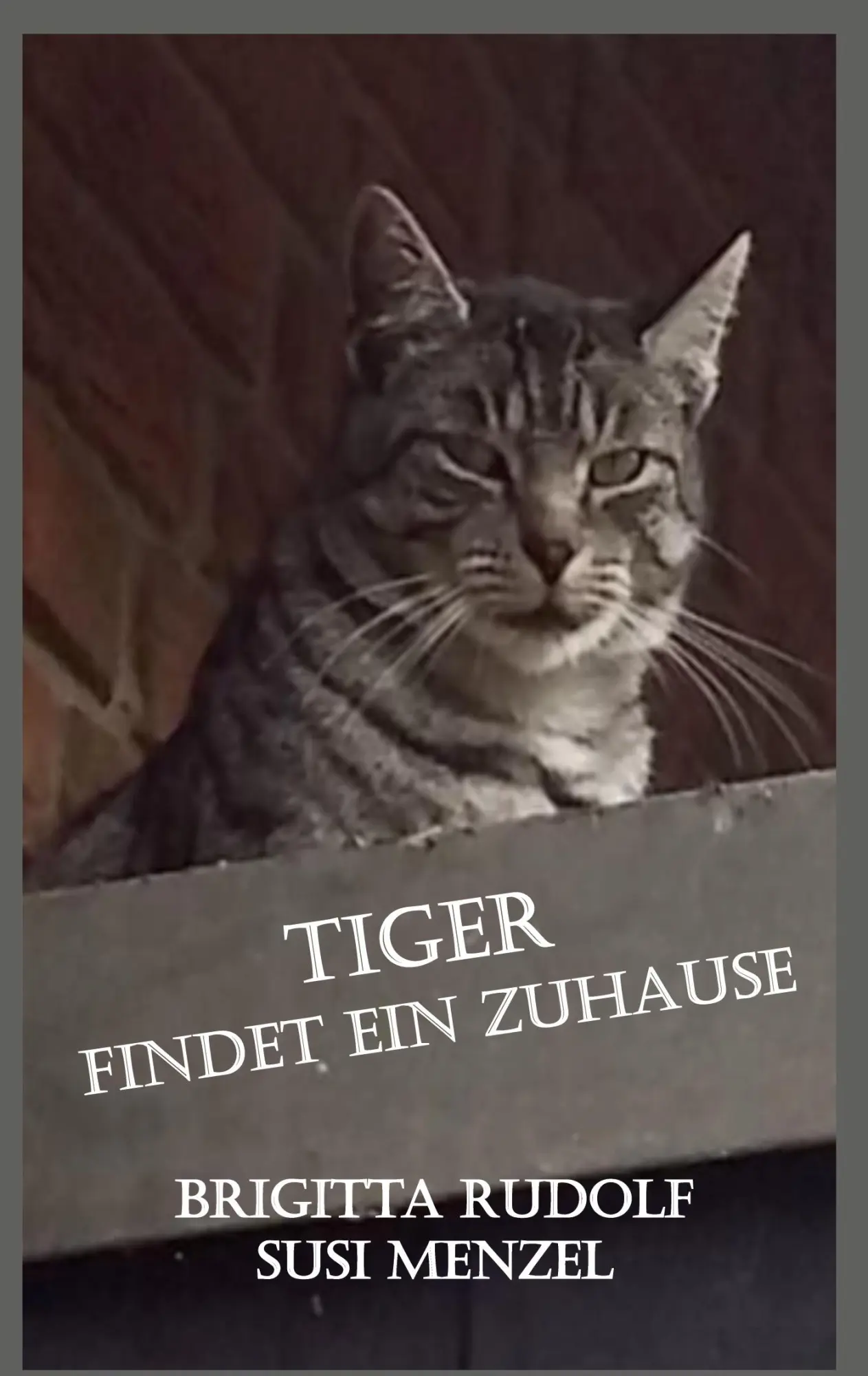 Cover: 9783756216888 | Tiger findet ein Zuhause | Brigitta Rudolf (u. a.) | Taschenbuch