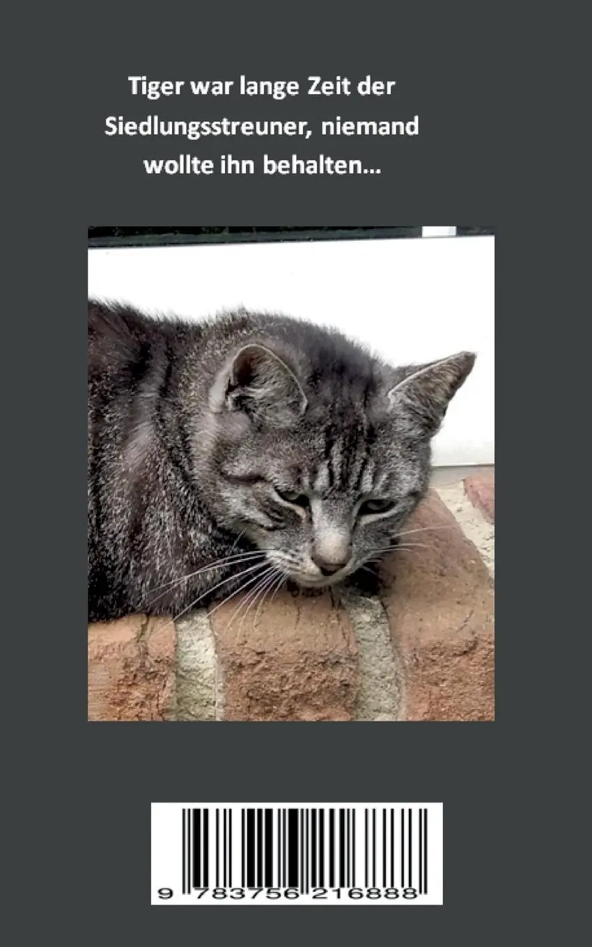 Rückseite: 9783756216888 | Tiger findet ein Zuhause | Brigitta Rudolf (u. a.) | Taschenbuch