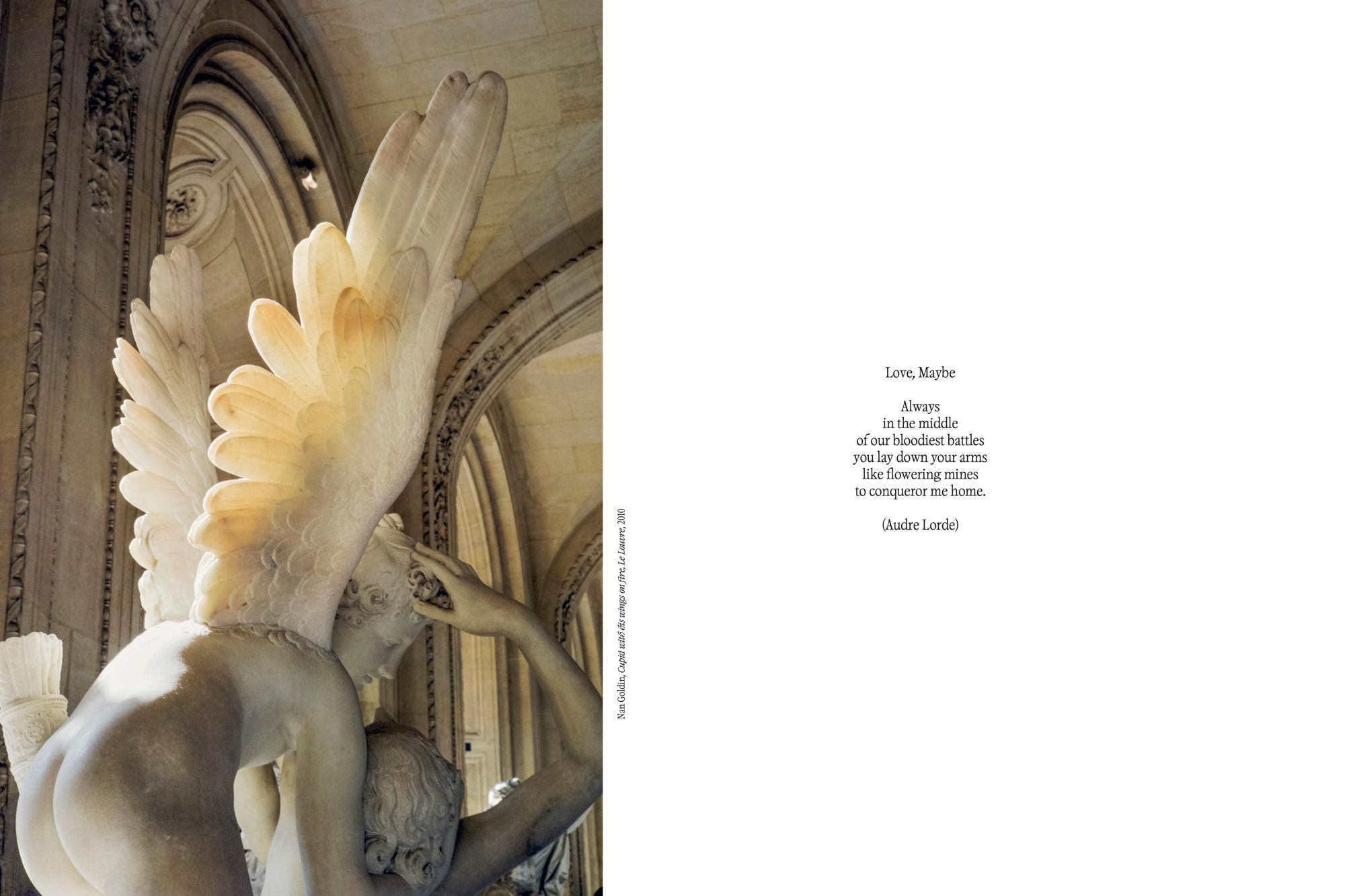 Bild: 9783954766888 | Love, Maybe | Alexander Tutsek-Stiftung | Buch | 120 S. | Deutsch