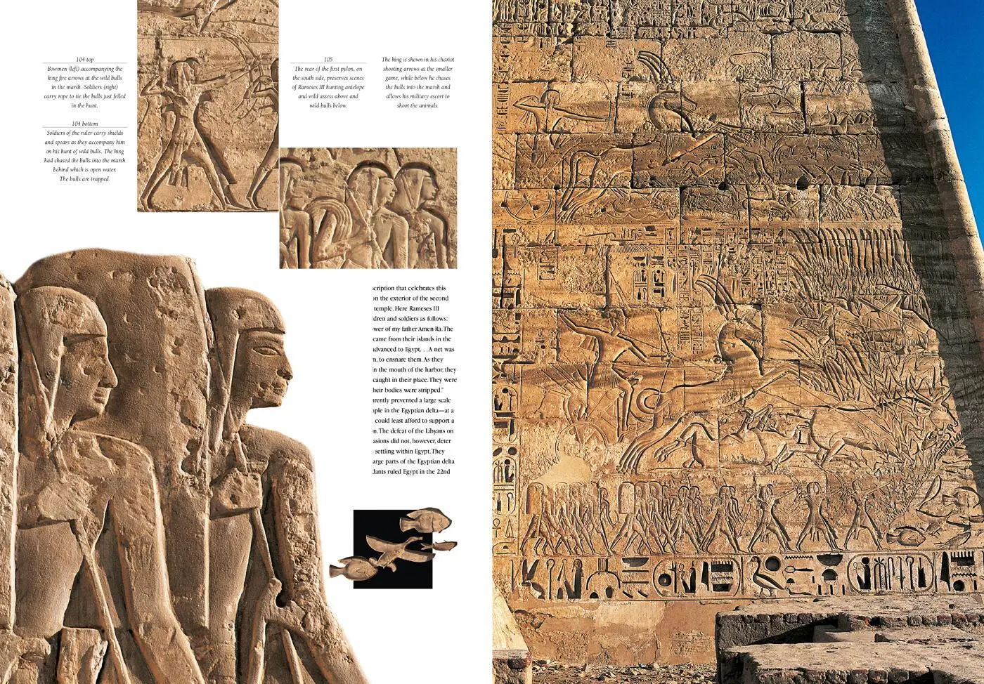 Bild: 9788854416888 | The Treasures of the Valley of the Kings | Kent Weeks | Taschenbuch