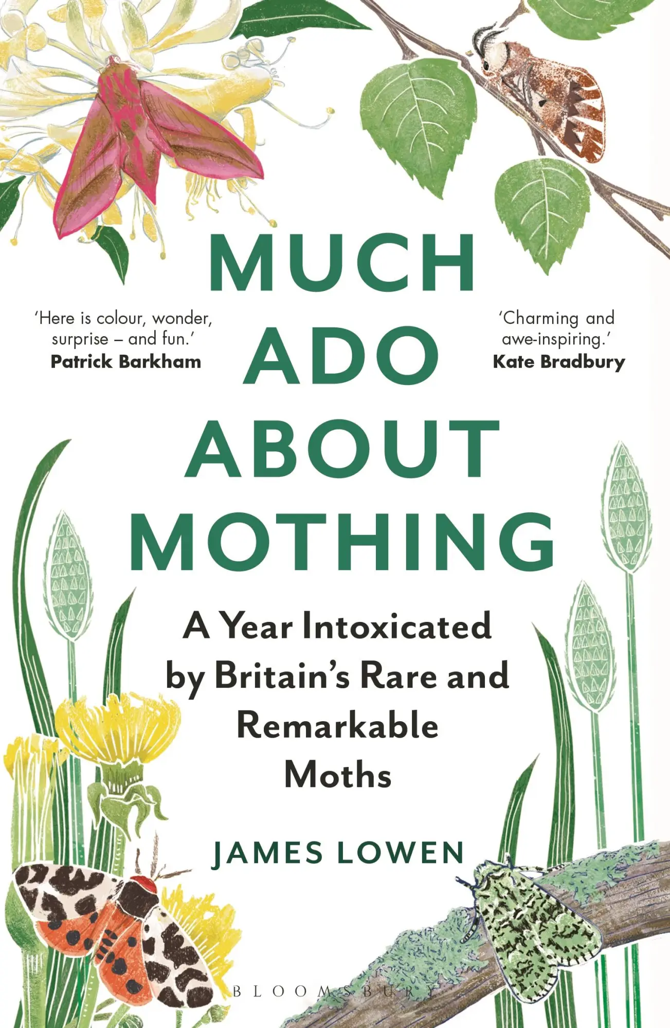 Cover: 9781472966988 | Much ADO about Mothing | James Lowen | Taschenbuch | Englisch | 2023