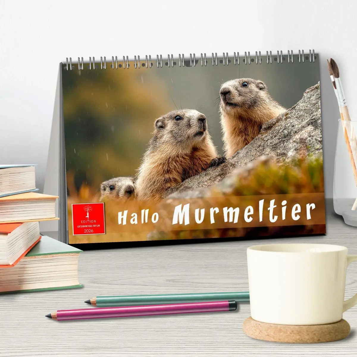 Bild: 9783516626988 | Hallo Murmeltier (Tischkalender 2026 DIN A5 quer), CALVENDO...