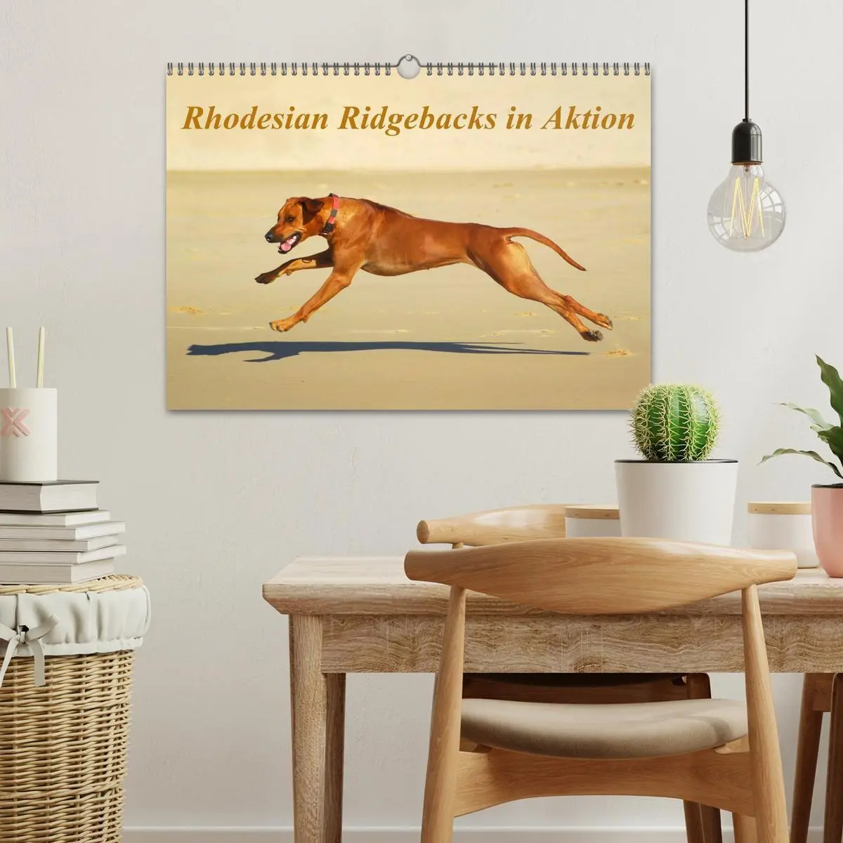 Bild: 9783516067088 | Rhodesian Ridgebacks in Aktion (Wandkalender 2026 DIN A3 quer),...