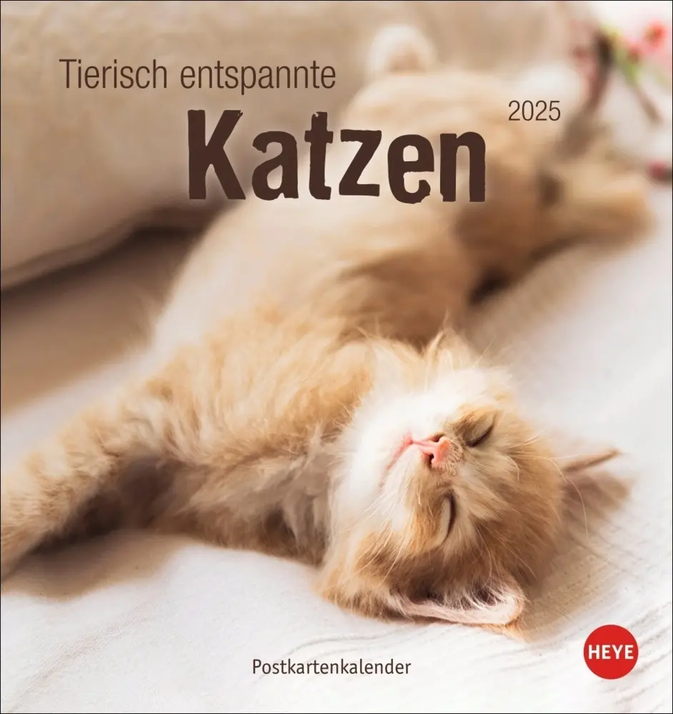 Cover: 9783756407088 | Tierisch entspannte Katzen Postkartenkalender 2025 | Kalender | 2025